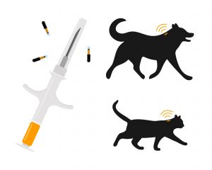 Pets microchipping image