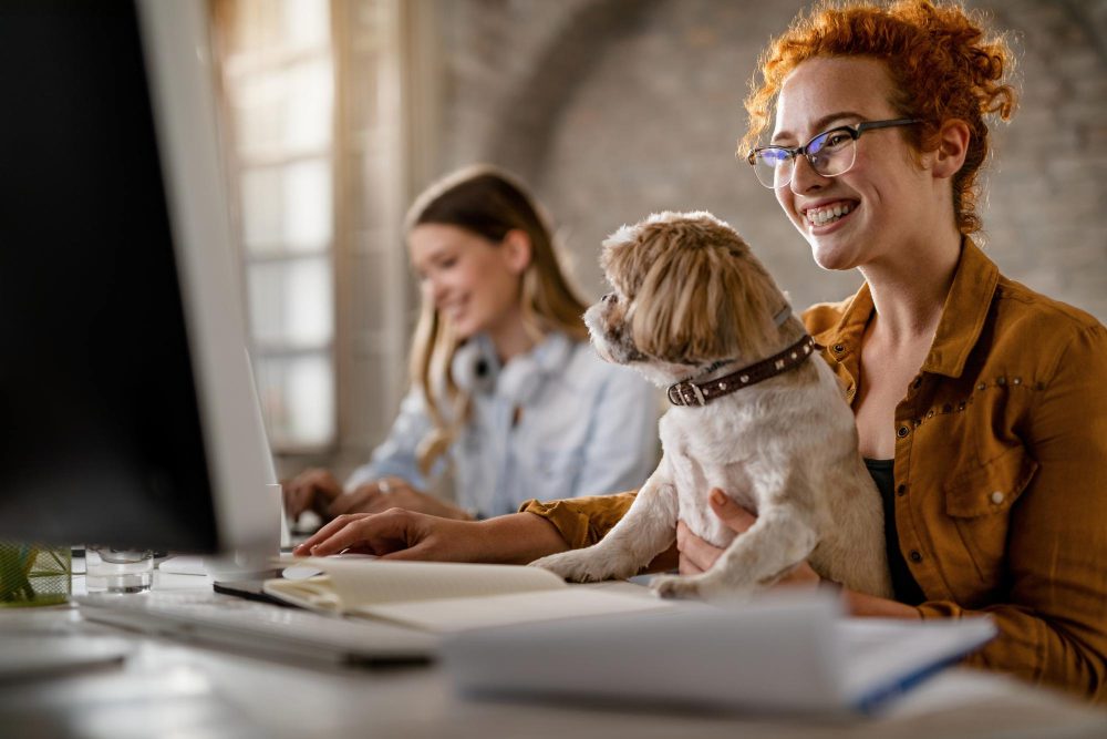 Customer service for pet adoption workers