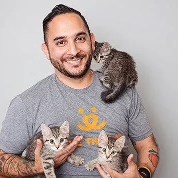 Marc Peralta Cats