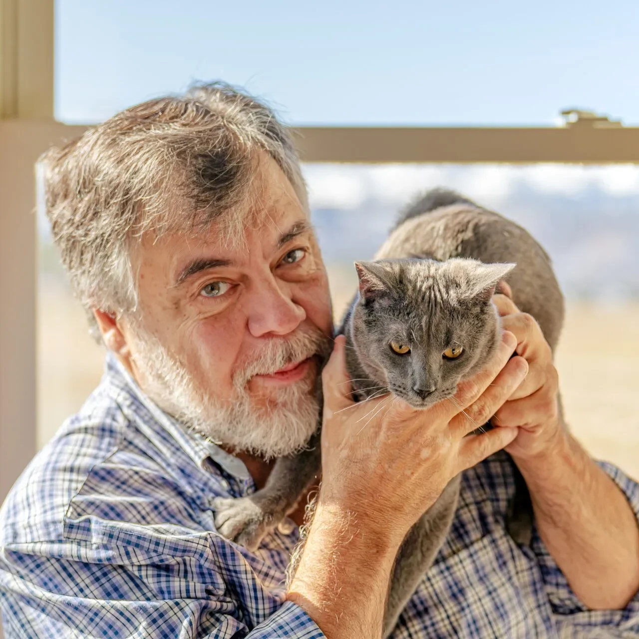 Ngilman 1 - cat